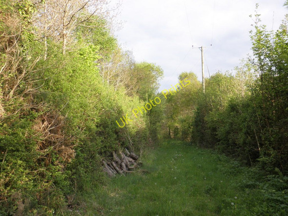 Photo 6"x4" Abandoned railway trackbed, at Leigh Cross Bridfordmills c2010