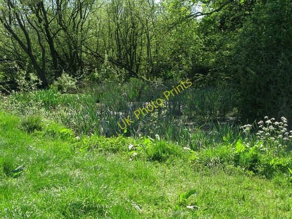 Photo 6"x4" Small pond near Broom House South Wingfield c2010