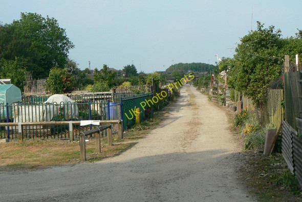 Photo 6"x4" Stoke Lane allotments Carlton\/SK6041 c2010