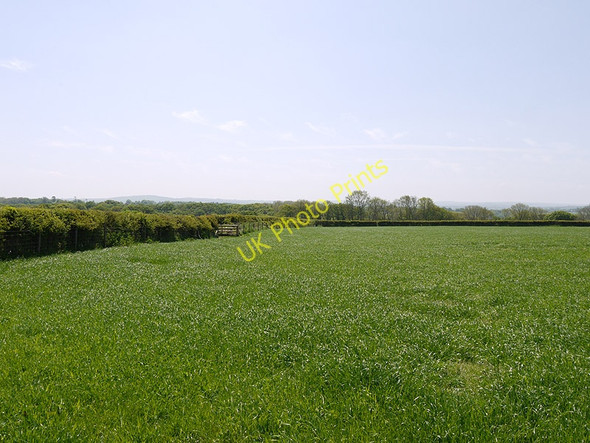 Photo 6"x4" Field near Lluest-mawr farm Pennant\/SN5163 c2010