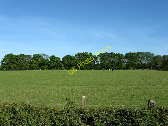 Photo 6"x4" New Barn Mead Chalvington c2010