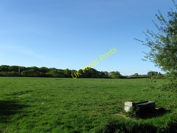 Photo 6"x4" The Toll Field Golden Cross\/TQ5312 c2010