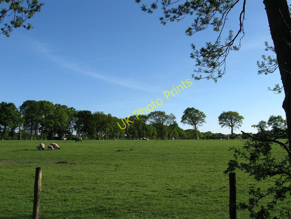 Photo 6"x4" Vermell Field Chalvington c2010