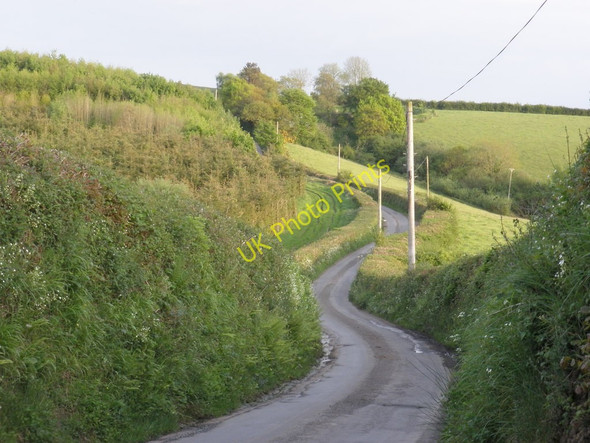 Photo 6"x4" Looking south, from Birch Cross Longdown\/SX8691 c2010