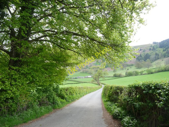 Photo 6"x4" The lane to Tyn Dwr Llangollen c2010