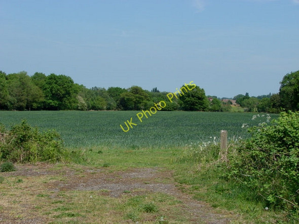 Photo 6"x4" Fields near Wyke Flexford\/SU9250 c2010