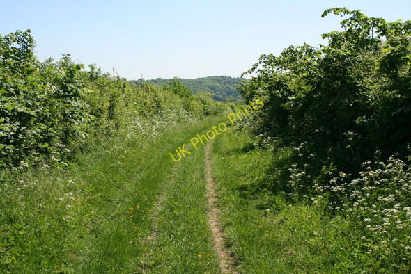 Photo 6"x4" Path to Langridge Lower Hamswell c2010