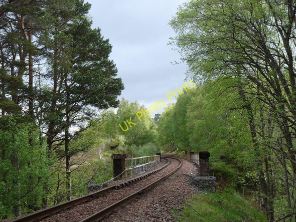 Photo 6"x4" The West Highland line cuts through Crannach Wood Barravourich c2010