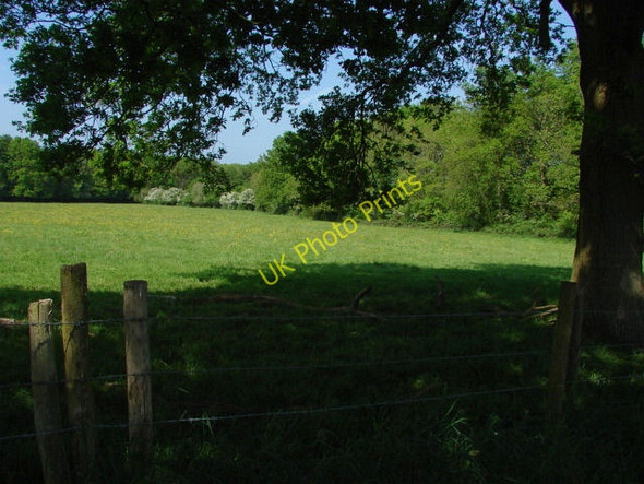 Photo 6"x4" Footpath, Flexford Flexford\/SU9250 c2010