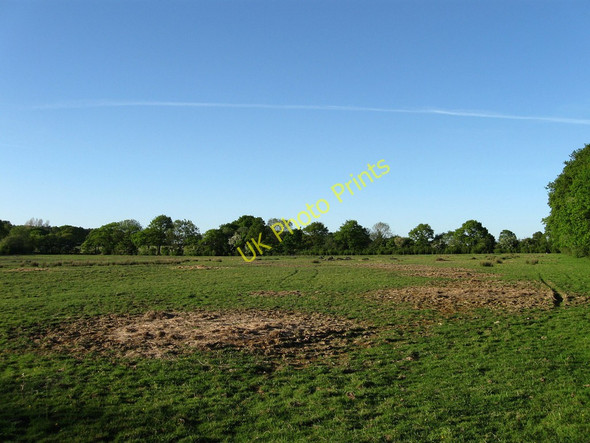 Photo 6"x4" Water Dykes Chalvington c2010