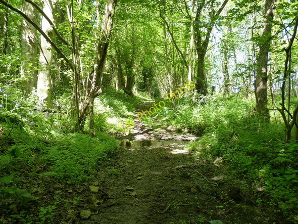 Photo 6"x4" Bridleway ford in Long Coppice Church Pulverbatch c2010