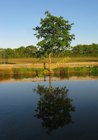 Photo 6"x4" Pond, Yew Tree Inn Chalvington c2010