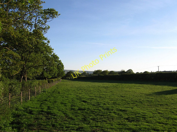 Photo 6"x4" The Leets Chalvington c2010