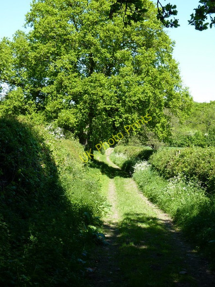Photo 6"x4" Bridleway near Holly Grove Farm Church Pulverbatch c2010