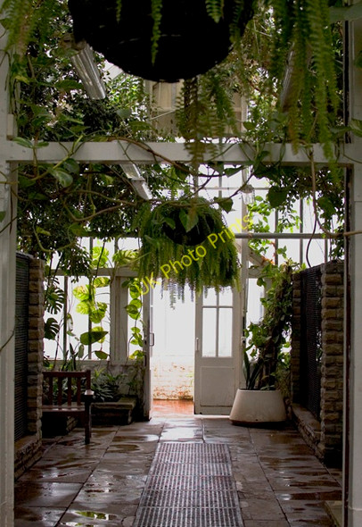 Photo 6"x4" Victorian conservatory, Hull Kingston upon Hull c2010