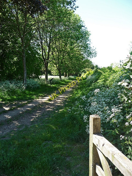 Photo 6"x4" Footpath, Banstead (2) Banstead c2010