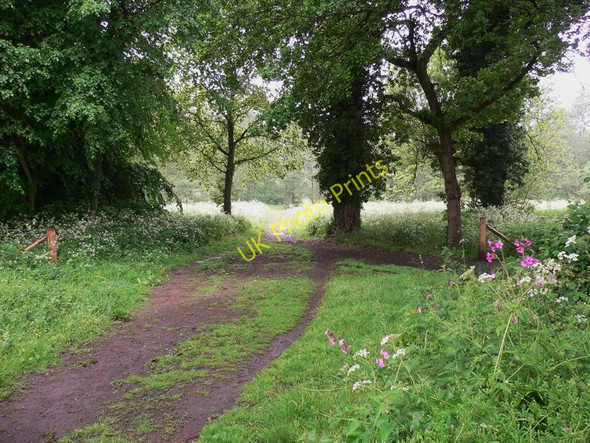 Photo 6"x4" The North Downs Way through Shalford Park Guildford c2010