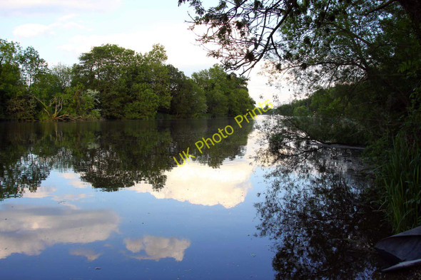 Photo 6"x4" The River Thames looking towards Pangbourne Whitchurch-on-Thames c2010
