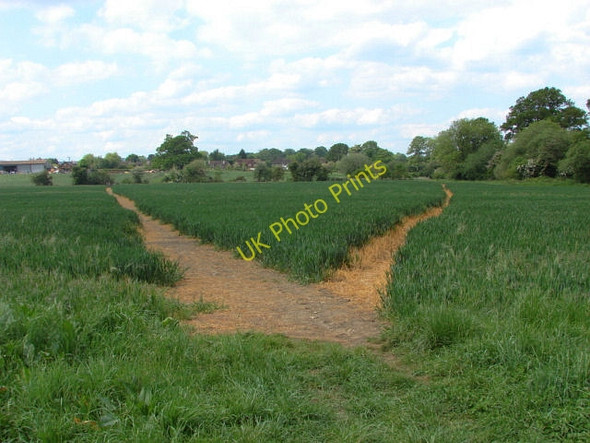 Photo 6"x4" The Fox Way, Flexford Wanborough\/SU9348 c2010