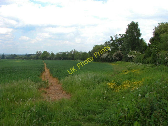 Photo 6"x4" Fox Way, Wanborough Wanborough\/SU9348 c2010