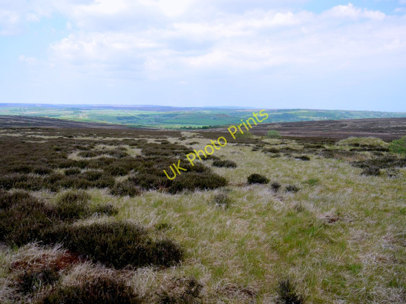 Photo 6"x4" Brow Moor Ravenscar c2010