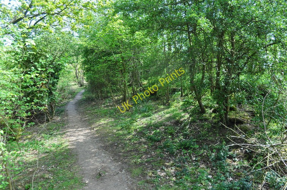 Photo 6"x4" Southwold Railway Broadway\/TM3978 c2010