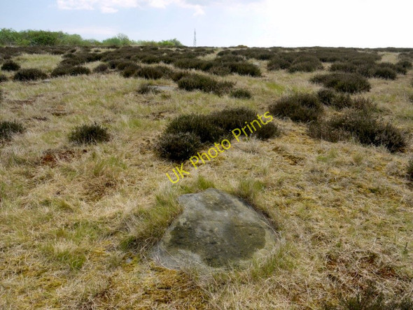 Photo 6"x4" Cup marked boulder, Brow Moor Ravenscar c2010