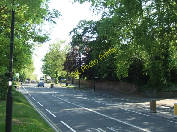 Photo 6"x4" Mount Vale, York York\/SE5951 c2010