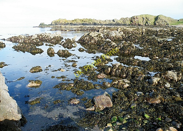 Photo 6"x4" Garron Point Stonehaven c2010