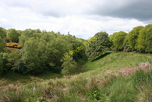 Photo 6"x4" Ury Drive Stonehaven c2010