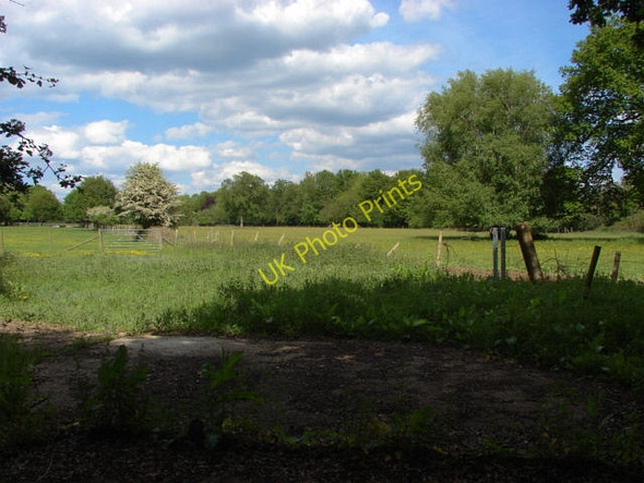 Photo 6"x4" Fields near Stanyards Stonehill\/TQ0063 c2010