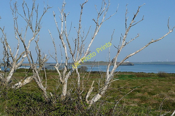 Photo 6"x4" Rough grazing at Rehy East Cross\/Q7951 c2010