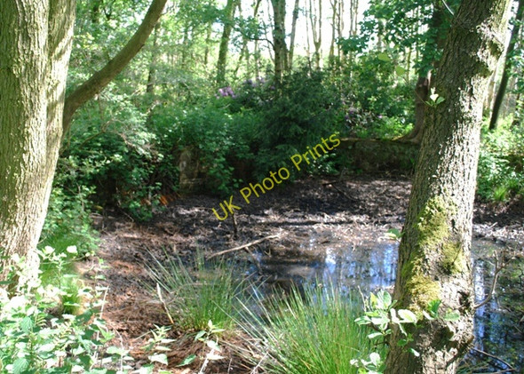 Photo 6"x4" Former fish pond Outwoods\/SJ7818 c2010