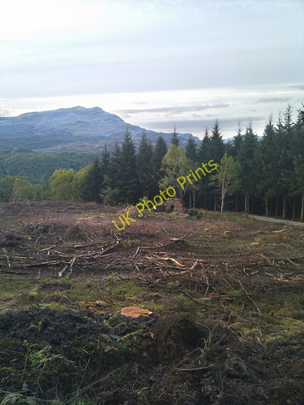 Photo 6"x4" Deforested area revealing building remains Tan-y-bwlch\/SH6540 c2010