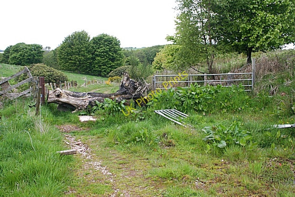 Photo 6"x4" An Improvised Gate Stonehaven c2010