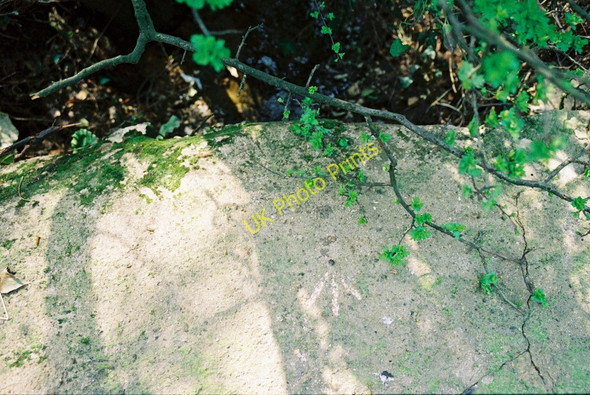 Photo 6"x4" Havenstreet,  Blackbridge Brook culvert Havenstreet c2010