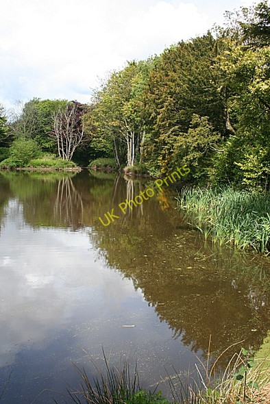 Photo 6"x4" Pond at Ury Stonehaven c2010 P1