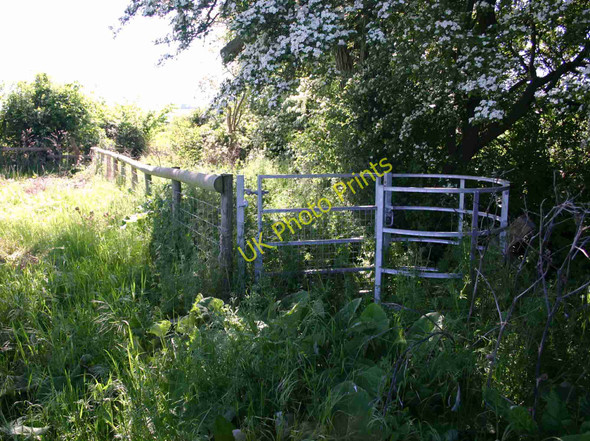 Photo 6"x4" Footpath to Ilmington? Ilmington c2010