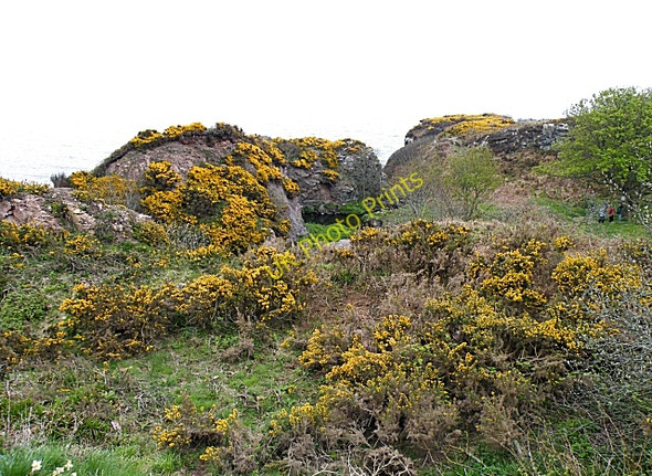 Photo 6"x4" Burn of Muchalls Bridge of Muchalls c2010