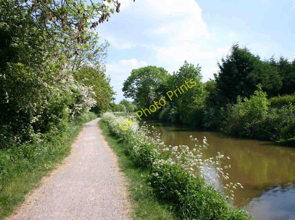 Photo 6"x4" Stratford-upon-Avon Canal below Bridge 63 Stratford-upon-Avon c2010