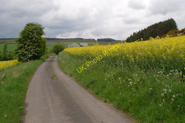 Photo 6"x4" Road east of Raemore Glenfoot\/NO1815 c2010