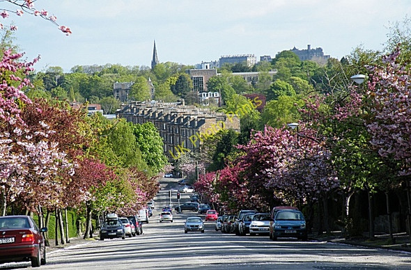 Photo 6"x4" Braid Avenue Morningside\/NT2471 c2010