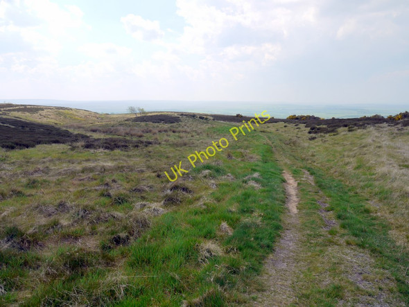 Photo 6"x4" Bridleway north-east of Cook House Ravenscar c2010