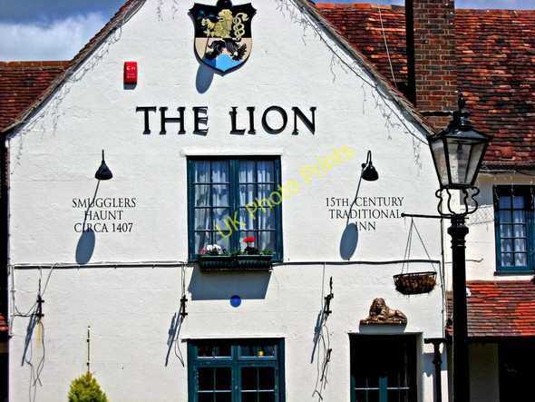 Photo 6"x4" The Lion (detail), Nyetimber Lane Nyetimber c2010