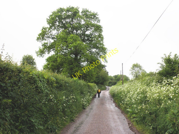 Photo 6"x4" Road to Thurlescombe Cross Manley\/SS9811 c2010