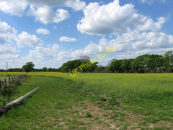 Photo 6"x4" The Meadow Ripe c2010