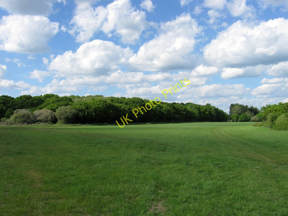 Photo 6"x4" The Long Reed Broomham\/TQ5212 c2010