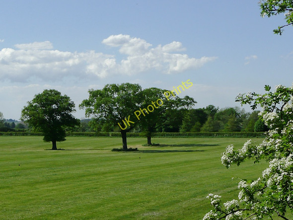 Photo 6"x4" Pasture west of Gnosall Heath, Staffordshire Cotonwood\/SJ8020 c2010
