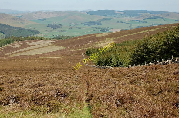 Photo 6"x4" North from Hunt Law Bellspool c2010