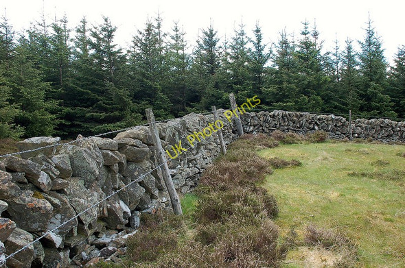 Photo 6"x4" Summit of Hunt Law Bellspool c2010